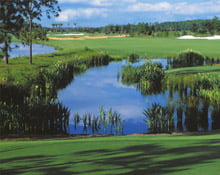 The Ritz-Carlton Golf Club